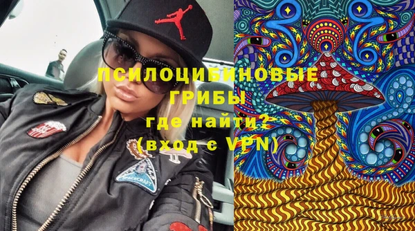 таблы Инсар