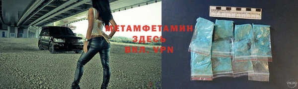 прущие грибы Зеленодольск