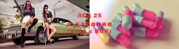 СК Каменка