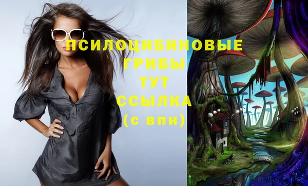 трава Зерноград