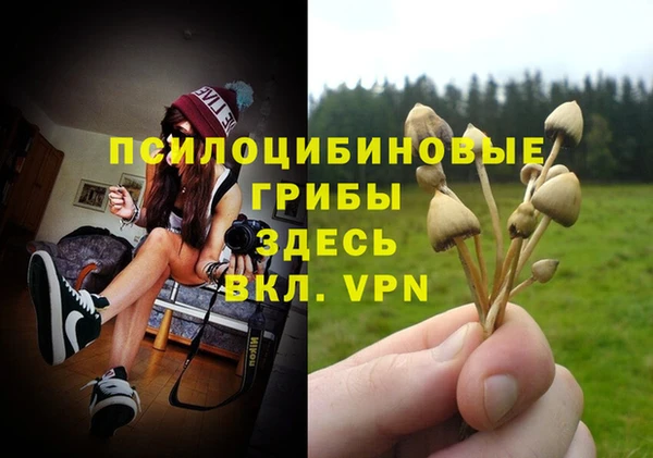 трава Зерноград