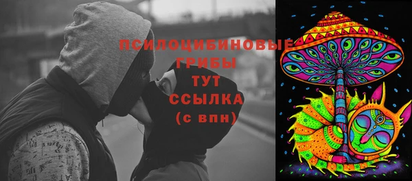 PSILOCYBIN Нижний Тагил